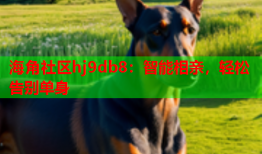 海角社区hj9db8：智能相亲，轻松告别单身
